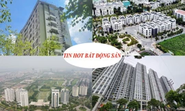 Nhà ở văn phòng biến chung cư mini cả trăm căn hộ, lại nới tiến độ dự án của Bitexco 