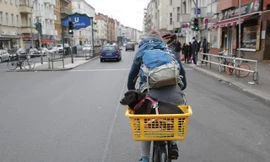 Cả nước Ý bị phong toả vì Covid-19, chó là “vị cứu tinh"