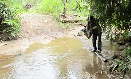 Lâm tặc chặt, chủ rừng đốt?