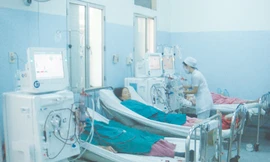 Nhiều bệnh nhân ghép thận ở nước ngoài đang điều trị tại BV Chợ Rẫy do thải ghép và biến chứng Ảnh: L.N