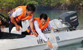 'Tuyệt chiêu' tái tạo nguồn lợi thủy sản trên vịnh Nha Trang
