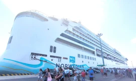 Tàu biển quốc tế liên tục chở khách đến Khánh Hòa