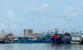 Khánh Hòa, Phú Yên kêu gọi tàu thuyền vào bờ tránh áp thấp nhiệt đới