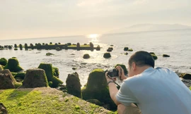 Tận thấy thảm rêu xanh mướt có ‘một không hai’ ở Nha Trang