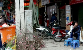 Những cành đào rực rỡ hoa bị vất bừa bãi trên nhiều tuyến phố của thủ đô Hà Nội