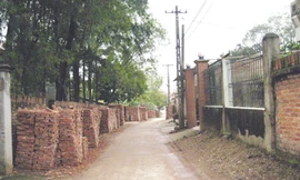 Đất nằm sâu trong làng xã Phù Linh tăng gấp đôi so với năm 2010 từ 5 triệu/m2 lên 10 triệu/m2	Ảnh: Minh Minh