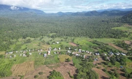 Đề xuất giảm đất trồng lúa, đất rừng để thực hiện dự án phát triển kinh tế, xã hội