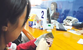 Cuộc đua lãi suất huy động lại khởi động Ảnh: Hồng Vĩnh