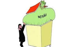 Tám ngân hàng bị qua mặt, cõng nợ trăm tỷ