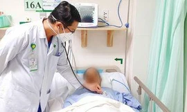 Cụ bà tại Trà Vinh bị ong đốt khiến suy gan, thận 