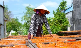 Mứt miền Tây hối hả vào Tết