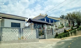 Biệt phủ 'mọc' trên đất trồng cây dược liệu tại Núi Sập