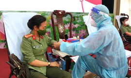 Ấm áp giọt hồng đầu xuân trên đất Tây Đô