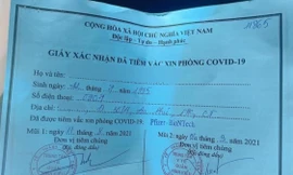 Tạm đình chỉ Phó chủ tịch phường liên quan cô gái tiêm vắc xin nhờ ‘xin ông anh’