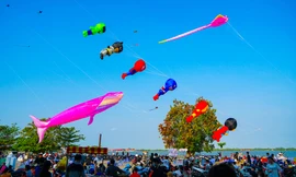 Những cánh diều no gió giữa lòng Tây Đô