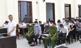 Kẽ hở pháp luật từ vụ lập nhóm công ty để vay vốn 'đảo nợ'