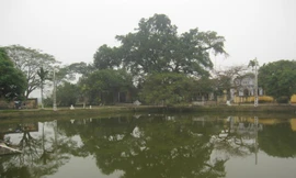 Về làng Nôm, tìm sự yên bình nơi làng Việt cổ