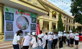 Giúp học sinh học cách bảo vệ môi trường từ những hành động nhỏ