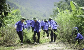 Nhiều sáng tạo trong Chiến dịch Thanh niên tình nguyện Hè 2020