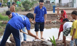 Sinh viên ĐH Tây Đô trồng dừa trên tuyến đường vào Nhà máy điện gió Bạc Liêu
