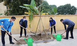 T.Ư Đoàn, Thành Đoàn Hà Nội và các đơn vị liên quan tham gia trồng cây hưởng ứng Tháng Thanh niên năm 2021 và Tết trồng cây xuân Tân Sửu.