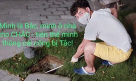 Nghệ sĩ Xuân Bắc hưởng ứng trào lưu ghép tên "Ở nhà là yêu nước", với thông điệp kêu gọi mọi người hạn chế ra đường để phòng chống dịch COVID -19