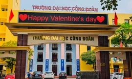 Muôn kiểu đón Valentine thú vị của sinh viên, 'văn mẫu' tỏ tình bằng tiếng Anh cực ngọt