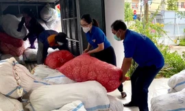 Đoàn viên, thanh niên tình nguyện hỗ trợ đóng gói tỏi Lý Sơn cho bà con nông dân