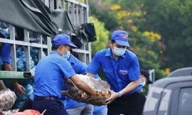 Đoàn viên, thanh niên Thủ đô vận chuyển rau, củ quả, nhu phiếu phẩm cho người dân trong thời điểm Hà Nội thực hiện giãn cách xã hội. Ảnh: Minh Đức