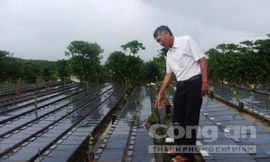 Ông Trần Đức Hoan, một trong những nhà từ tâm, tự nguyện