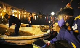 Ít giờ sau chỉ đạo của Chủ tịch UBND TP Hà Nội Nguyễn Đức Chung, hơn 400 nhân viên từ nhiều đơn vị thuộc Công ty TNHH MTV thoát nước Hà Nội đã làm việc từ 19h đến hơn 1h sáng ngày 9/6 để vớt hết số cá chết nổi trắng mặt hồ Hoàng Cầu, Đống Đa.