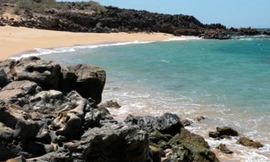 Đảo Lanai sở hữu những bãi biển tuyệt đẹp