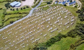 Những hòn đá Carnac nhìn từ trên cao. Ảnh: truthcontrol