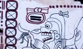 Cổ thư của người Maya là sách viết tay lâu đời nhất châu Mỹ