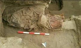 Xác ướp 4.500 năm tuổi mới được tìm thấy tại Peru. Ảnh: Reuters