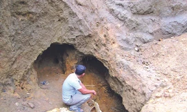 Phá rừng cao su tìm vàng