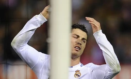 Tháng 4 bóp cổ Kền kền trắng