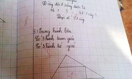 Tranh cãi 'Bài toán lớp 2 bị chấm sai'