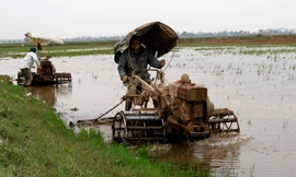 Tổ dịch vụ máy cày bừa do Đoàn TN xã Hồng Tiến đang làm đất vụ Chiêm 2014. ảnh: Xuân Tùng