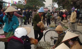 Buôn bán gia cầm ở Lạng Sơn. Ảnh: Duy Chiến