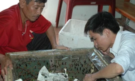 Nguyễn Thế Thắng (áo trắng) đang hướng dẫn cách nuôi dế cho nông dân huyện Cẩm Xuyên (Hà Tĩnh)