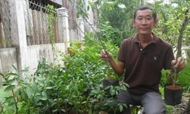 Anh Lê Ngọc Khương bên cạnh vườn ươm chanh không hạt