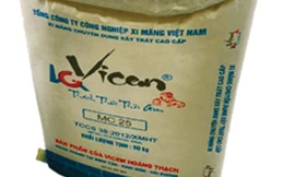 Vicem Hoàng Thạch, Vững vàng trên đẳng cấp cao