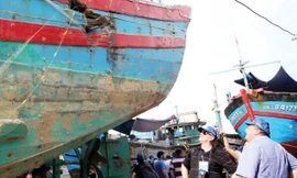 Chiều 21/6, các đại biểu tham dự Hội thảo quốc tế đến thị sát tàu cá ĐNa 90152 bị hư hỏng nặng do tàu Trung Quốc đâm chìm trên vùng biển Hoàng Sa của Việt Nam, được kéo về và đặt tại Âu thuyền Thọ Quang (Đà Nẵng). Các đại biểu cũng phỏng vấn ngư dân, nhữn