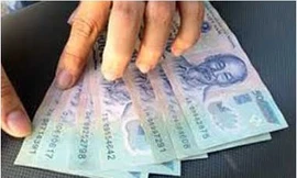 44% thừa nhận phải lót tay khi xin việc