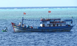 Tàu cá của ngư dân Bình Thuận khai thác hải sản gần đảo Đá Lớn, huyện đảo Trường Sa, tỉnh Khánh Hòa