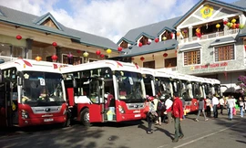 Tuyển vụ trưởng Vận tải: “Tập đoàn xe dù” làm đề tài hỏi thi