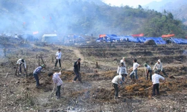 Đoàn viên, thanh niên và người dân tham gia khai phá cánh đồng ma tháng 3/2008. Ảnh: Tư liệu