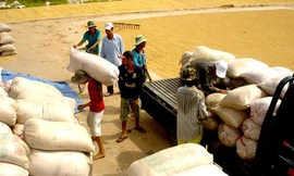 Hỗ trợ 7.059 tấn gạo cứu đói dịp Tết