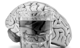 Cơ thể cần khoảng 1 giờ để “tiêu hóa” hết 30ml đồ uống cồn